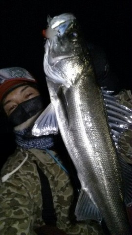 s64r296ckfh4yx5km973_518_920-7f6a4d6e.jpg