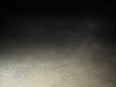 s8tazc2k6onjnyf5c9tf_480_480-c217131b.jpg