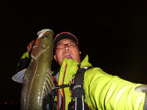 shczmzfffgcwm34akdb8_480_480-15474fb7.jpg