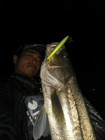 sho6uss3b8j2x8f8bp89_690_920-69068749.jpg