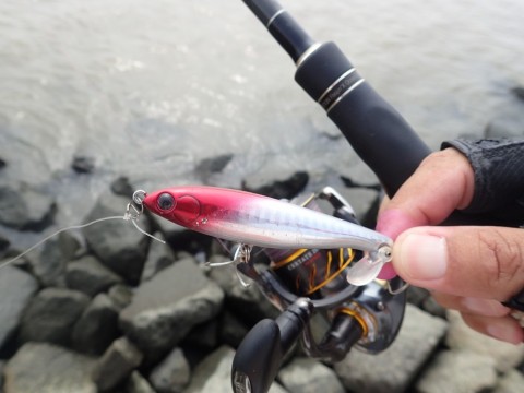 skt7dck72z9cf5oo82rz_480_360-54263d38.jpg