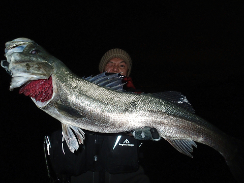 srs8zbgvevt4v7he86rc-b3c95615.jpg