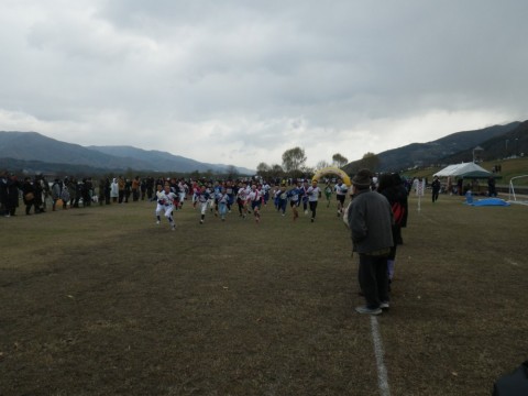 sszaipxpyr3fx85yjk3e_480_480-482cbb87.jpg