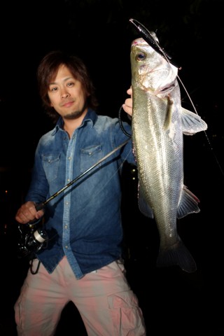 SEA SCAPE】 どこもかしこも魚だらけ！？