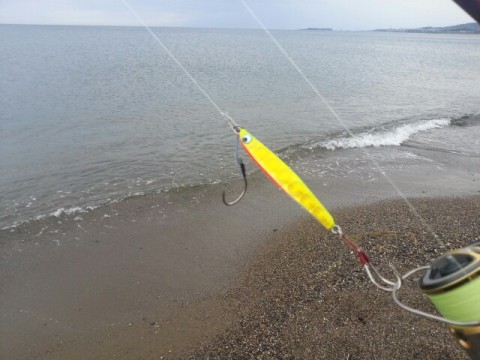 t78f38goek6399zu46tb_640_480-86fcd366.jpg