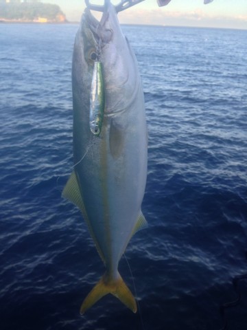 tsahpcjhdzzgg3dnku8c_690_920-aafc09b7.jpg
