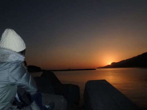 ty5n7kf3jguarygu4aam_480_480-1f5d8f16.jpg