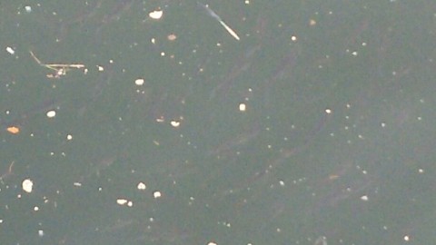 tz86kgt2bnzo48fj8tei_920_518-dd60a511.jpg