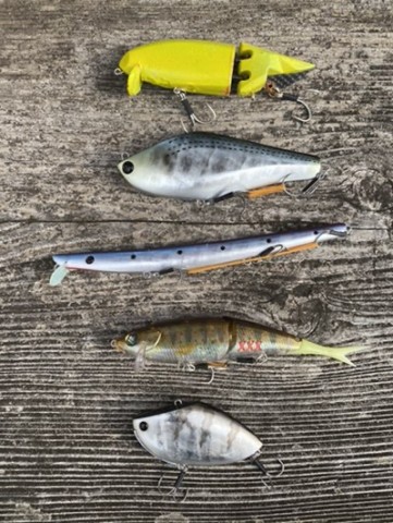 STUDIO COMPOSITE staff blog】 もう一つのビックベイト。