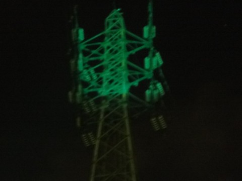 u8g93gfzcn38uhern5c8_480_480-342ce18c.jpg