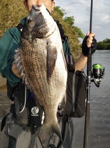 魚釣りブログ】 今更18ブラストLTインプレッション