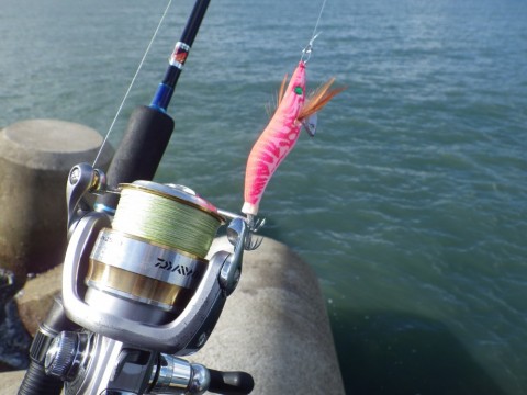 uiw97k5kz9635dp8obtv_480_480-1b19aa2b.jpg
