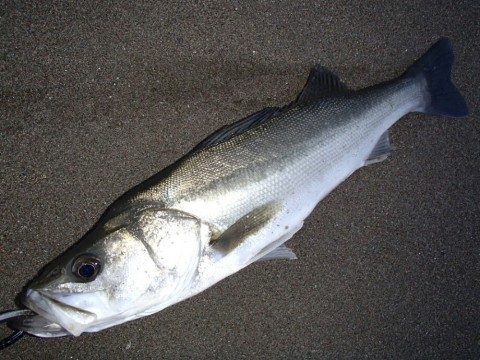 uwybspjsnb9sbcp8u3wy_920_690-25c08064.jpg
