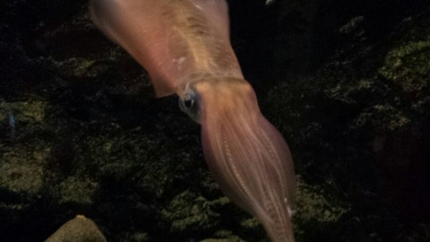 uxsbfhknvfbsacwt6hea_920_518-4e41b076.jpg