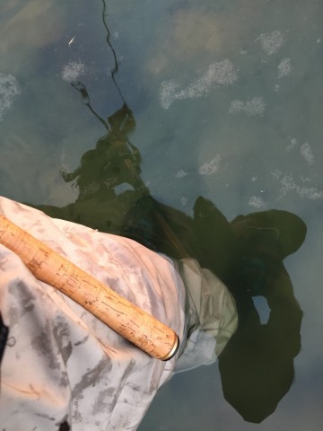 uzua5nnuig9pskiz8nnm_360_480-379e623f.jpg