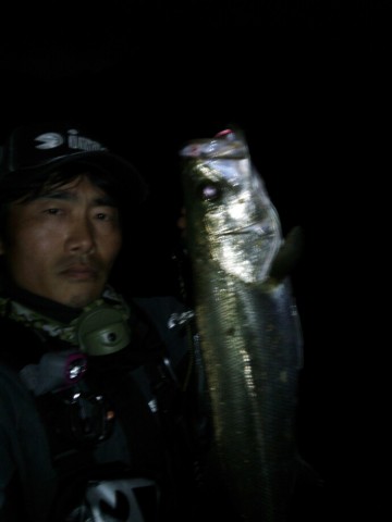 v2bfmnmpwr93ufenpbxf_690_920-698c137d.jpg