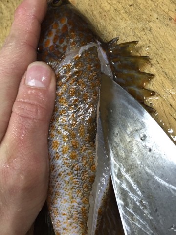 v3narhkxebbhb6taswig_690_920-dcef728f.jpg