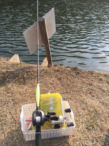 v7gga3wofb37dp7vtoxy_690_920-33d39282.jpg