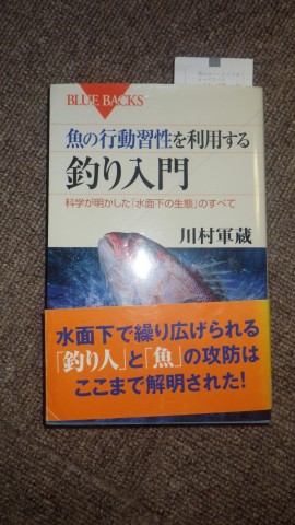 vamyainfhaeajy98m5sc_480_480-6adb285a.jpg