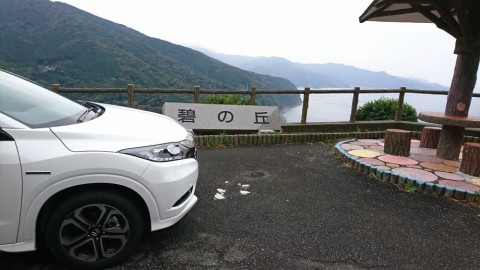 vc67cvp9u8y7f5bonta5_480_480-f6baf338.jpg