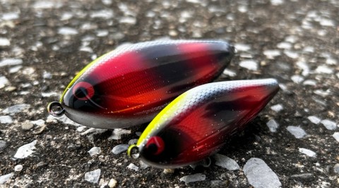 釣りフェス限定】 アイザー fimoオリカラ グレアダラ フィッシング