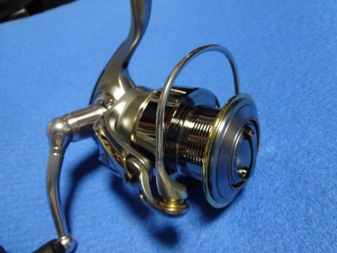 vcmy8fxh848ztngo6g5c_480_480-0c284da2.jpg