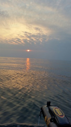 vmwxr7wxffihgjtxm3sy_518_920-dc250f4f.jpg