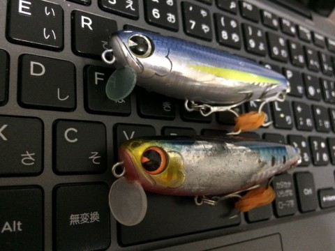 vsrwvf2urgm8w326wsm9_480_480-1cbdc372.jpg