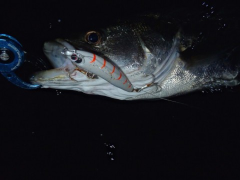 vusw9u6rnr6umrrajngr_920_690-b5ff121c.jpg