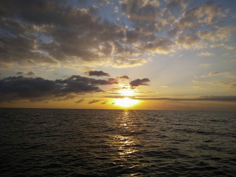 vxybprmdx64hhbxv58sy_480_480-0719783f.jpg