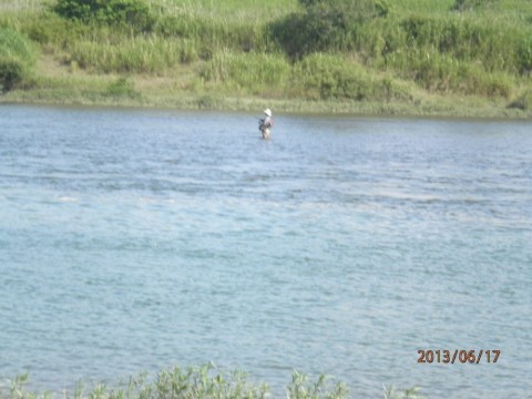 w2tkx5un9zfxc44e7jf8_480_480-49221b71.jpg