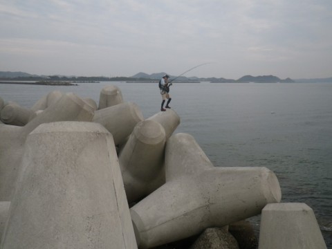 w4u9taojxa272b44s5ae_480_480-cb23bf46.jpg