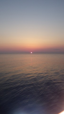 w7sueycer2fjasuhaw9v_480_480-f6ae33c7.jpg