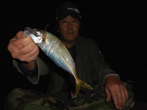 wft3ngkoikfmrst9t6rr_480_480-45489795.jpg