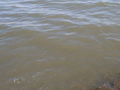 wnexzzdadupjow8idnwg-e1f43873.jpg