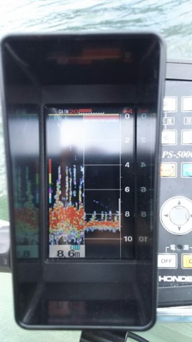 wnrervoxjz228skdekg3_518_920-ac145ac9.jpg
