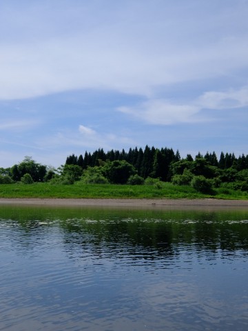 wyymbfbg6zkbfvc7s7bg_480_480-544d1542.jpg