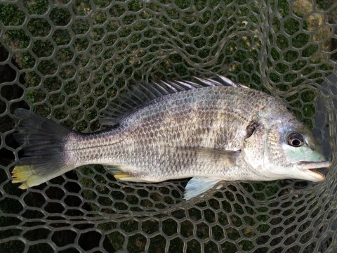 xbodipcppixnykv73fjr_920_690-47284054.jpg
