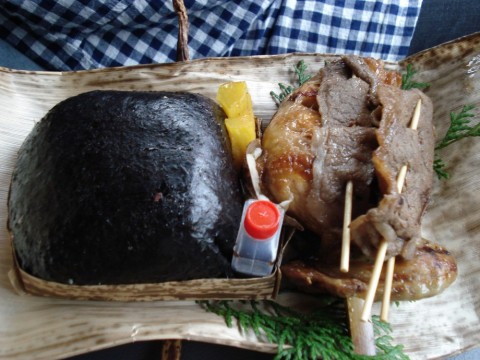 xwy5vkm786as76cy4sod_480_360-970758e4.jpg