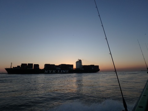 y2rsy8zyob48srs4rbod-c6c08356.jpg