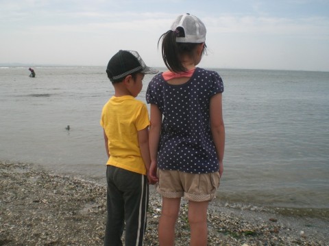 y4828kkakd8xn2pdsmtk_480_480-2ac931e7.jpg