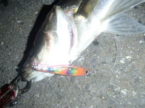 y4ou8bb2ffmufopdfpyy_640_480-06fa7c53.jpg