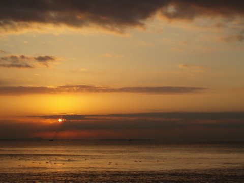 y5r3ib3hiw9c648n3dhk_480_480-5386959a.jpg