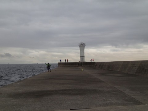y6hwdxspazwkrx2o8zkg_480_360-f4102547.jpg