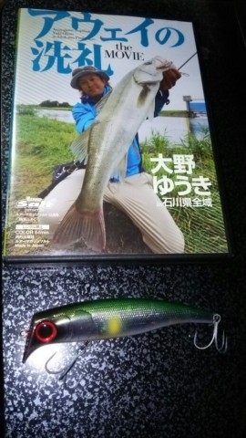 yk7kdsg84xkvhghwemox_518_920-9bd63c25.jpg