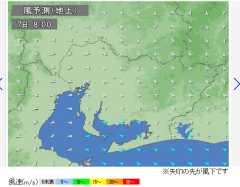 z9nbbufjp4i5k546kw7j_480_480-c4d5b07c.jpg