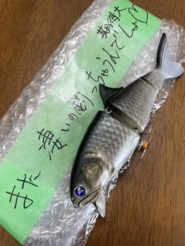 Fishing under the blue sky 】 コノシロパターンにコノ野郎！！