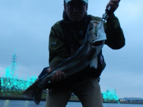 zg7b3sdavd85m76m5kyz_920_690-86a25f51.jpg