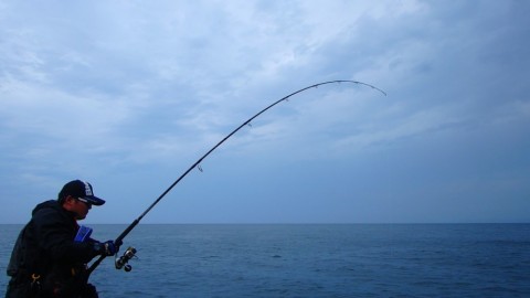 zgsveokwcnah3rteewir_480_480-c5901a7f.jpg