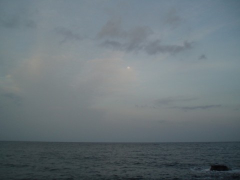 zse8tvj3wix5frifg4wg_480_480-8e210383.jpg